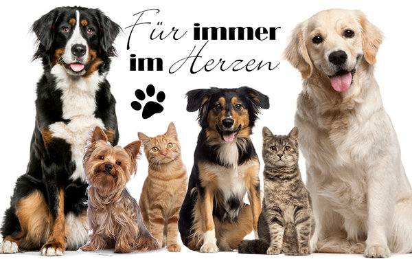 Ascheschmuck Asche Anhänger Hund Andenken Kette zum Befüllen Tierasche Online Shop Urnen Haustiere